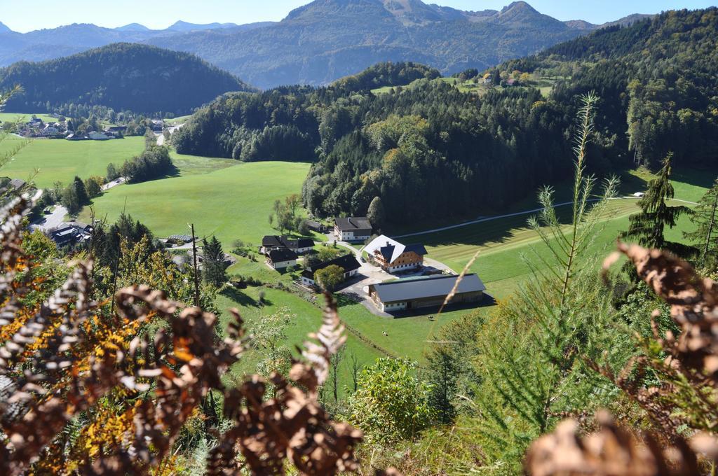 Ferienwohnung Dichtlbauer Sankt Gilgen Exterior photo